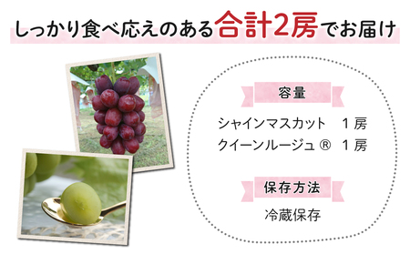 【先行受付2026年発送】東御市産クイーンルージュ(R)＆シャインマスカットのセット ※9月中旬～10月中旬頃発送