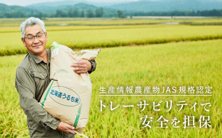 【定期便3ヶ月】令和7年産新米 無洗米 ななつぼし 5kg×3回【sun500-nana-m5x3-R7】