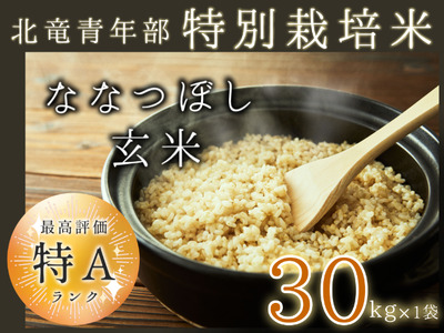 【先行予約】【令和6年産新米11月中旬以降発送】特別栽培米ななつぼし 玄米30kg 北海道 北竜町産【2514-R6】