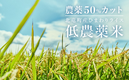 【先行予約】【令和6年産新米11月中旬以降発送】特別栽培米ななつぼし 玄米30kg 北海道 北竜町産【2514-R6】