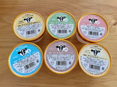 北アルプス牧場　手づくりアイス６個セット