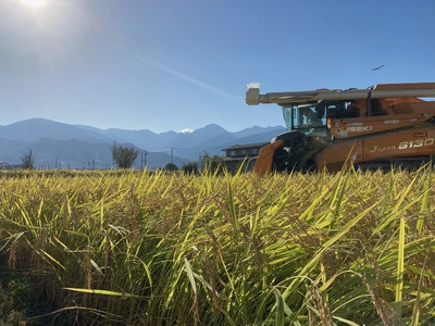 産直センター　特別栽培米コシヒカリ「８㎏」　（10月頃〜発送開始）