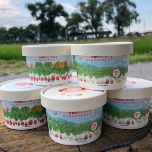 なないろ農園　安曇野のいちごがたっぷり入ったジェラート６個セット
