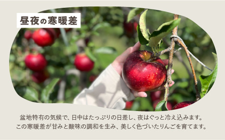 りんごジュースおまかせ６本セット