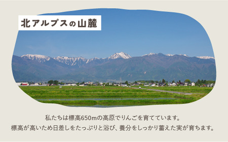 りんごジュースおまかせ６本セット