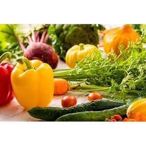 八ヶ岳グレイスホテル　1泊朝食付ペア宿泊券(スタンダードツイン)【日～金曜日】【1117662】