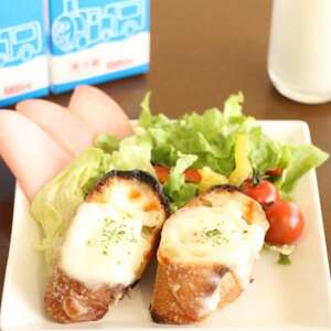 ヤツレンの野辺山高原ナチュラルチーズセット【配送不可地域：離島】【1392318】