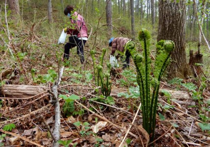 南相木村の自然体験利用券（3万円分）