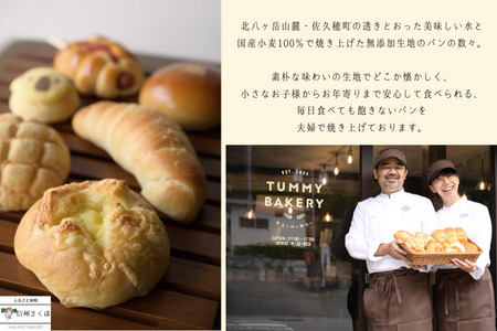 毎日食べたいパンセット　２カ月定期便〔TB-T501〕