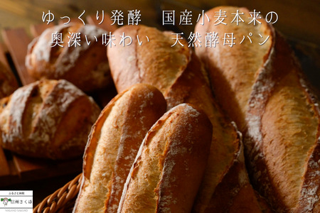 毎日食べたいパンセット　２カ月定期便〔TB-T501〕