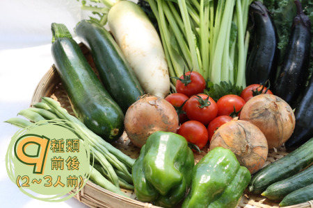 【先行受付・2026年発送】定期便3カ月 有機野菜ちいさな畑セット(Mサイズ 2~3人前)(NK-T502)