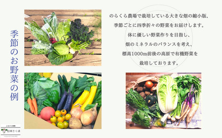 有機野菜ちいさな畑セット（Sサイズ　１～２人前）［NK-120］