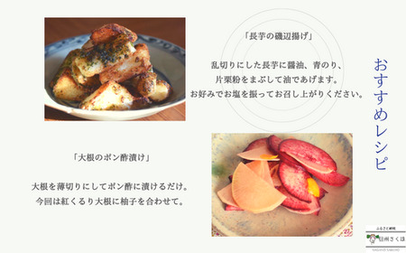 【先行受付・2025年発送】定期便2カ月 有機野菜ちいさな畑セット(Sサイズ 1~2人前)(NK-T518)