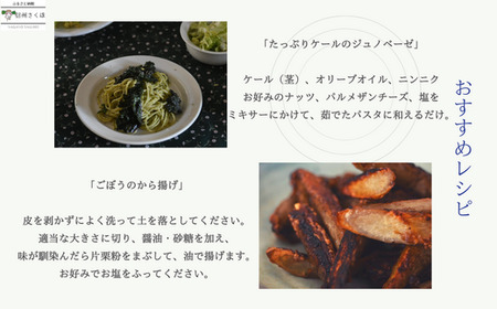 【先行受付・2025年発送】定期便2カ月 有機野菜ちいさな畑セット(Sサイズ 1~2人前)(NK-T518)