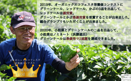 【先行受付・2025年発送】定期便2カ月 有機野菜ちいさな畑セット(Sサイズ 1~2人前)(NK-T518)