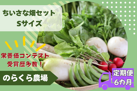 【先行受付・2026年発送】定期便6カ月　有機野菜ちいさな畑セット（Sサイズ　１～２人前）（NK-T521）