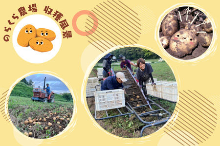 濃厚じゃがいもと玄米のスープ　6個入り ［NK-122］