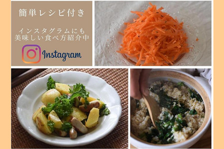 濃厚じゃがいもと玄米のスープ　6個入り ［NK-122］