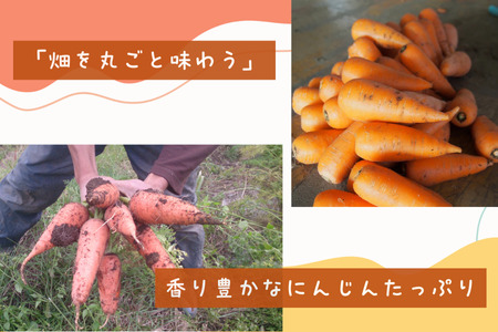 香り豊かなにんじんと玄米のスープ　6個入り［NK-123］