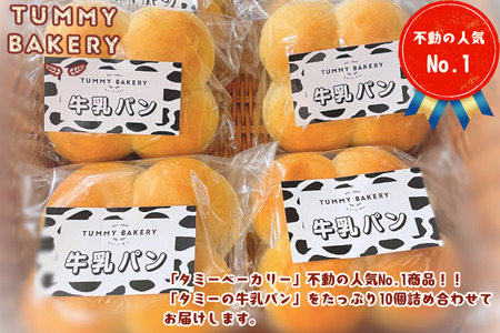 北八ヶ岳山麓の美味しい水と国産小麦で作る、信州ご当地パン『タミーの牛乳パン』10個セット［TB-103］