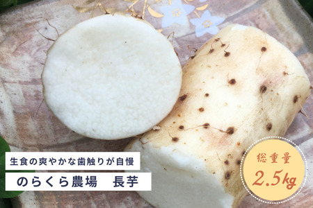 味に自信あり！北八ヶ岳の長芋　2.5キロ　レシピ付き［NK-111］