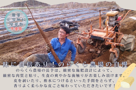 味に自信あり！北八ヶ岳の長芋　2.5キロ　レシピ付き［NK-111］