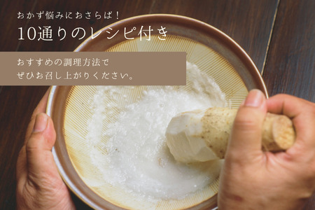 味に自信あり！北八ヶ岳の長芋　2.5キロ　レシピ付き［NK-111］