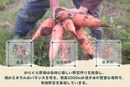 旨みにんじんジュース　1000ml瓶×2本セット［NK-110-01］