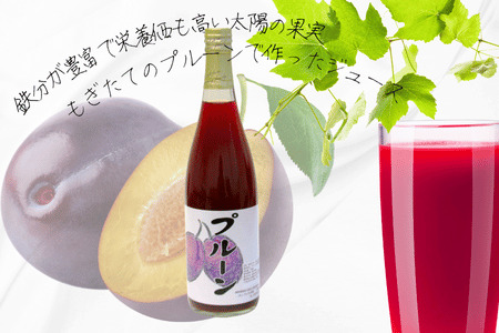 ２種類の果汁ジュースセット［CH-109］