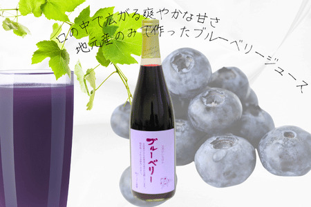 ２種類の果汁ジュースセット［CH-109］