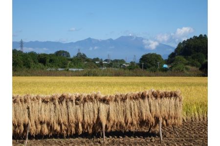 CH-08〕太陽の恵みをいっぱいに受けた佐久穂の「はぜかけ米」 | 長野県