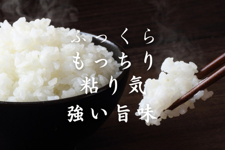 【令和7年産】太陽の恵みをいっぱいに受けた佐久穂の「はぜかけ米」精米５㎏［CH-112］