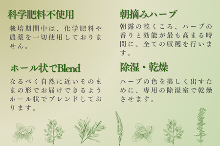 lehti ハーブティ　「森林浴」20包［LF-106］