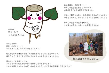 しらかばちゃん　植林カップ（植林支援）［YA-109］