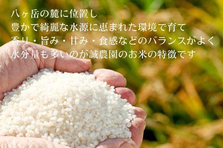 令和5年産 信州産 こだわり有機栽培米 こしひかり 玄米 ５kg〔MA-07