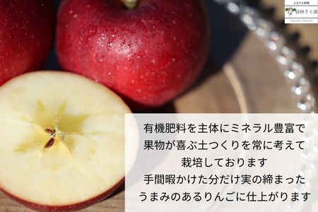 信州産　果汁100％りんごジュース＆「食べる」まるごと人参ジュースセット　計２本［SU-103］