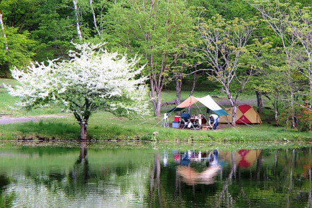 駒出池キャンプ場　施設使用料補助券10枚セット　20,000円分［AD-111-02］