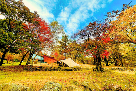 駒出池キャンプ場　施設使用料補助券10枚セット　20,000円分［AD-111-02］