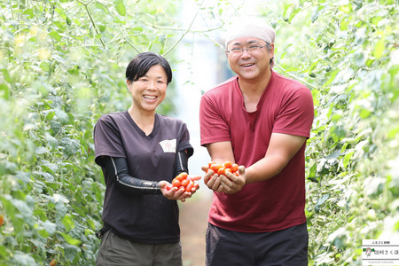 【2026年先行受付】定期便４回　 こさゆと農園の高糖度フルーツトマト　計４キロ（KY-T503）