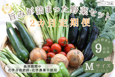 定期便　２カ月　信州北八ヶ岳からお届け～ちいさな畑セット～（Mサイズ　２～３人前）有機野菜〔NK-01-2〕