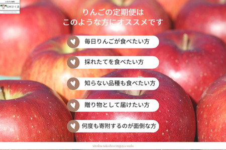 【予約便・2026年発送】定期便全5回　旬のりんご５kg入り贈答箱【限定50箱】（RS-T501）