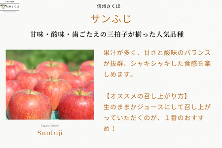 【予約便・2026年発送】定期便全5回　旬のりんご５kg入り贈答箱【限定50箱】（RS-T501）