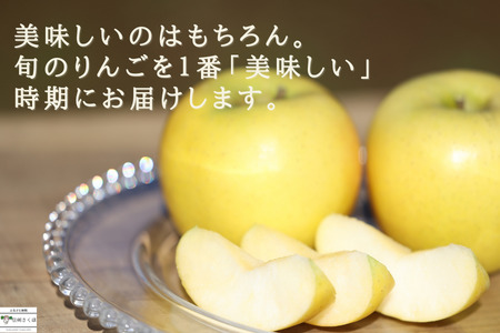 【予約便・2026年発送】定期便全5回　旬のりんご５kg入り贈答箱【限定50箱】（RS-T501）