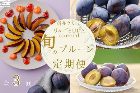 【予約便・2026年発送】りんごやSUDA 定期便全3回　旬の生プルーン（RS-T502）