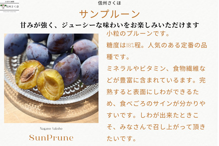 【予約便・2026年発送】りんごやSUDA 定期便全3回　旬の生プルーン（RS-T502）