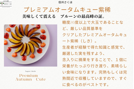 【予約便・2026年発送】りんごやSUDA 定期便全3回　旬の生プルーン（RS-T502）