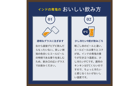 インドの青鬼（96缶）クラフトビール 4ケース お酒 地ビール 晩酌 家飲み バーベキュー BBQ 忘年会 花見 苦味 華やかな香り エールビール 