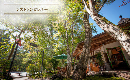 商品券 有限会社シュールジャポン 5万円分 宿泊券 ギフト券 利用券 チケット 券 金券