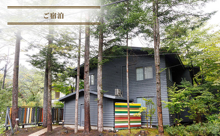 商品券 有限会社シュールジャポン 5万円分 宿泊券 ギフト券 利用券 チケット 券 金券