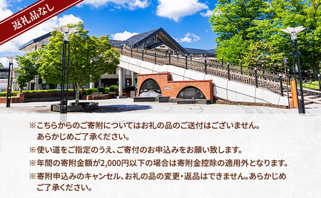 【返礼品なし】長野県軽井沢町 寄附のみの応援受付 10,000円コース(返礼品なし 寄附のみ 10,000円)